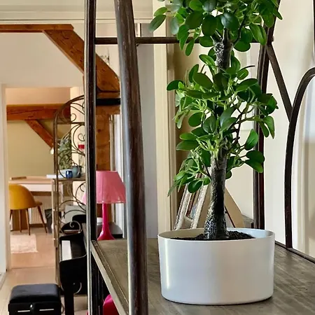 Beauregard Apartmán Dijon