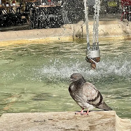 Beauregard Apartmán Dijon