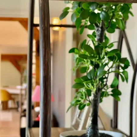 Διαμέρισμα Beauregard