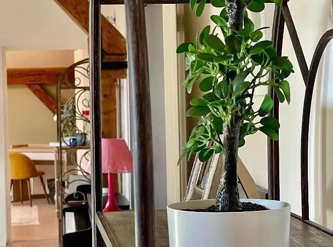 Beauregard Апартаменты Дижон