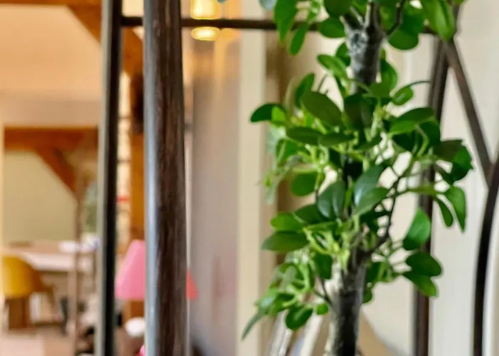 Apartment Beauregard